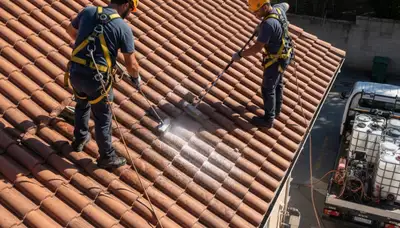 Dallas, TX siding contractor inspecting exterior home for roof cleaning and maintenance